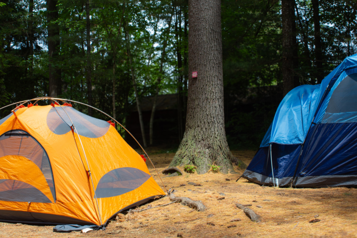 a tent in a forest