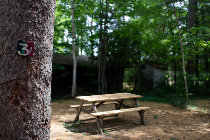 a wooden bench in front of a tree