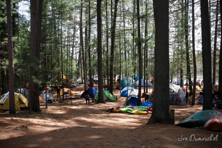 a group of people in a forest