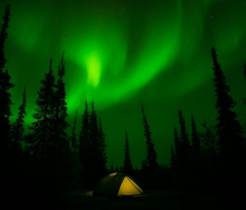 Tent under green aurora borealis with pine trees silhouetted at night.